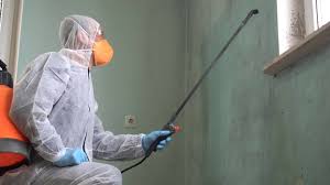 Best Asbestos and Lead Testing During Mold Inspection in Cambridge, OH