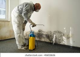 Best Mold Removal for HVAC Installations in Cambridge, OH